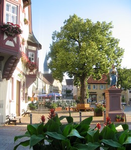 Marktplatz in Markelsheim